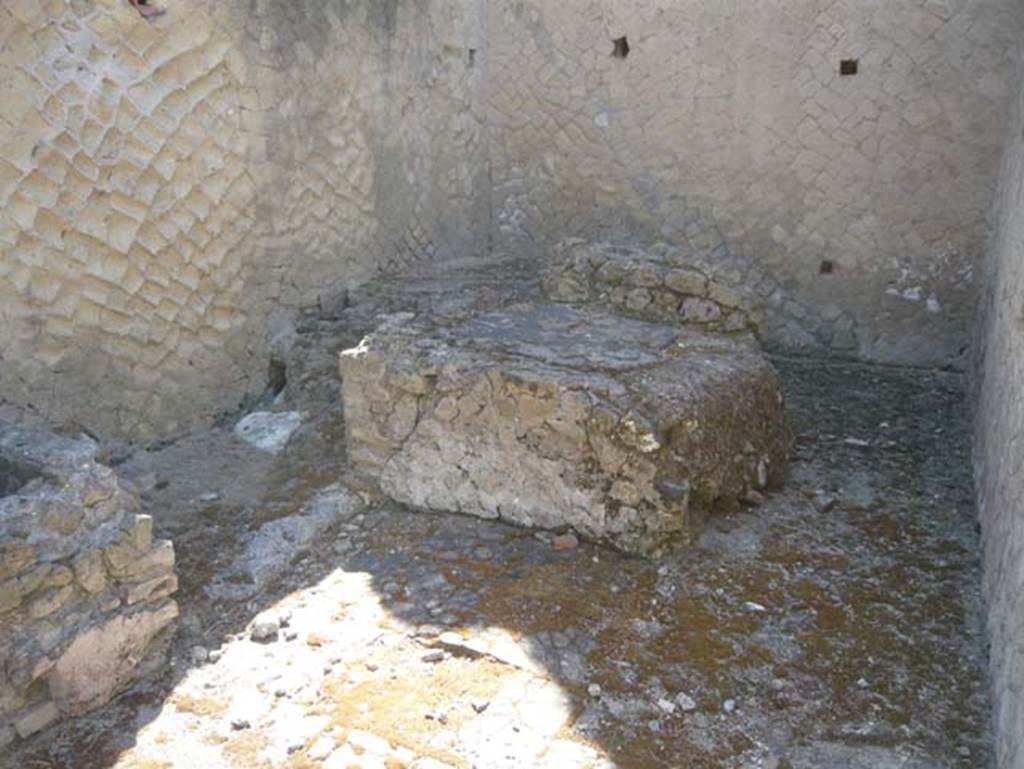 VI.30 Herculaneum, August 2013. Looking towards structure in centre of area and east wall.
Photo courtesy of Buzz Ferebee.